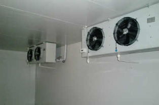 供應(yīng)休寧縣肉類(lèi)冷凍庫(kù)制冷設(shè)備壓縮機(jī)日常保養(yǎng)及維護(hù)介紹